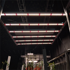 ETL认证640w三折设计高ppfd高产出植物生长灯商业种植