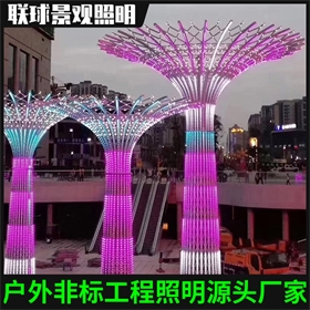 定制广场大型特色景观灯 户外照明地标不锈钢LED景观灯 