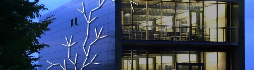 文件上传成功！