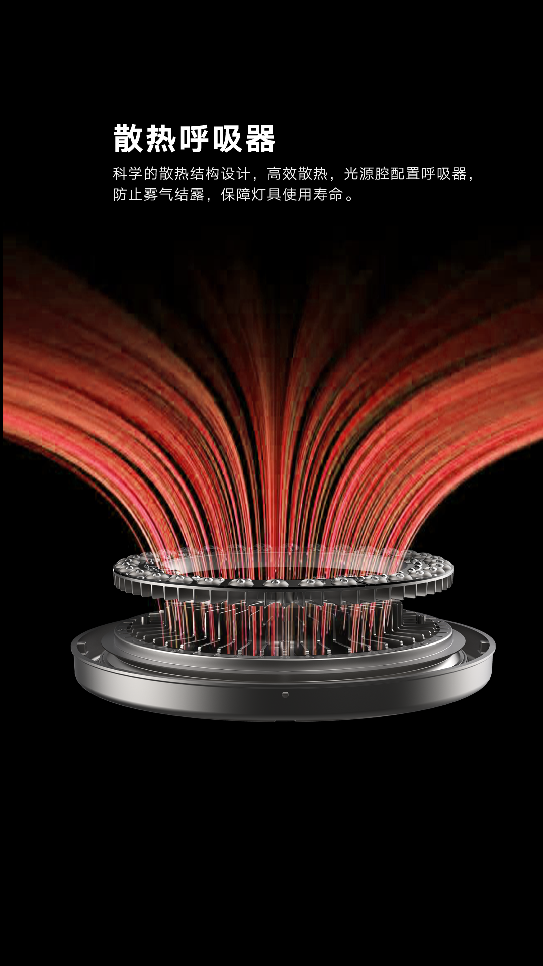 文件上传成功！