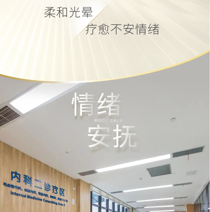 文件上传成功！