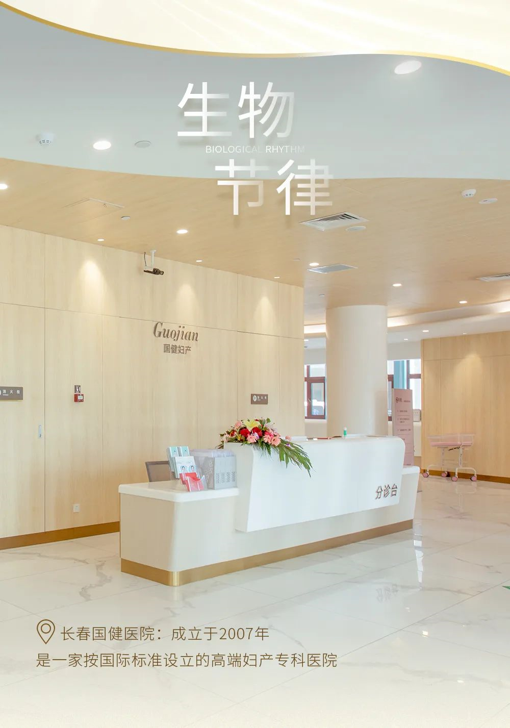 文件上传成功！