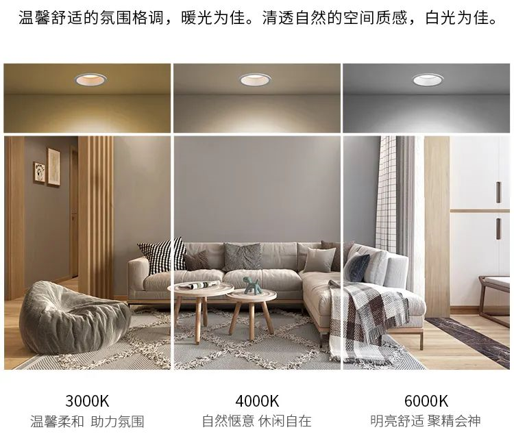 文件上传成功！