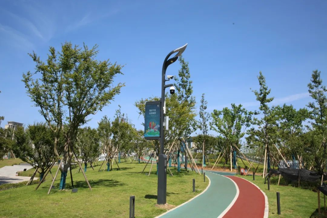 文件上传成功！