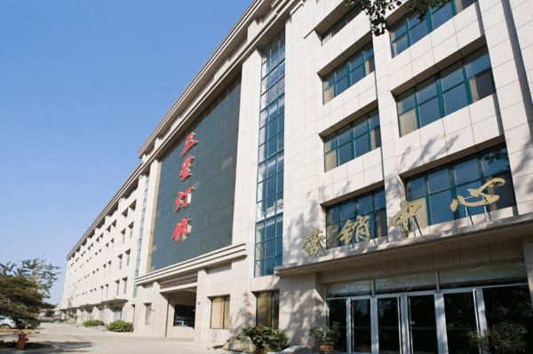 文件上传成功！