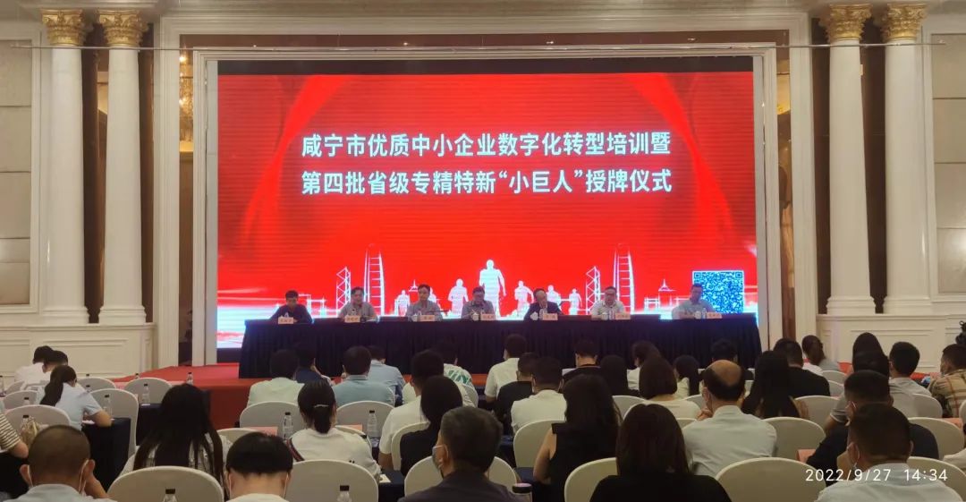 文件上传成功! 文件上传成功!