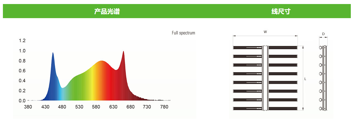 文件上传成功！