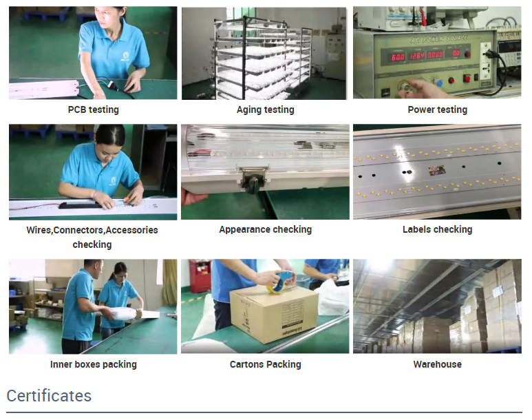 文件上传成功！