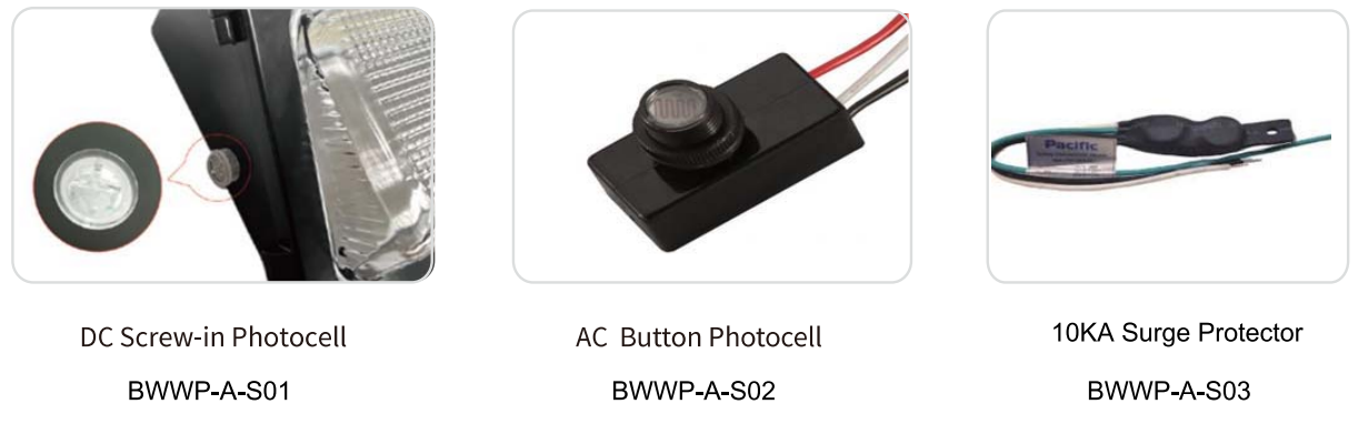 文件上传成功！