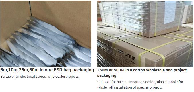 文件上传成功! 文件上传成功!