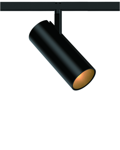 文件上传成功！