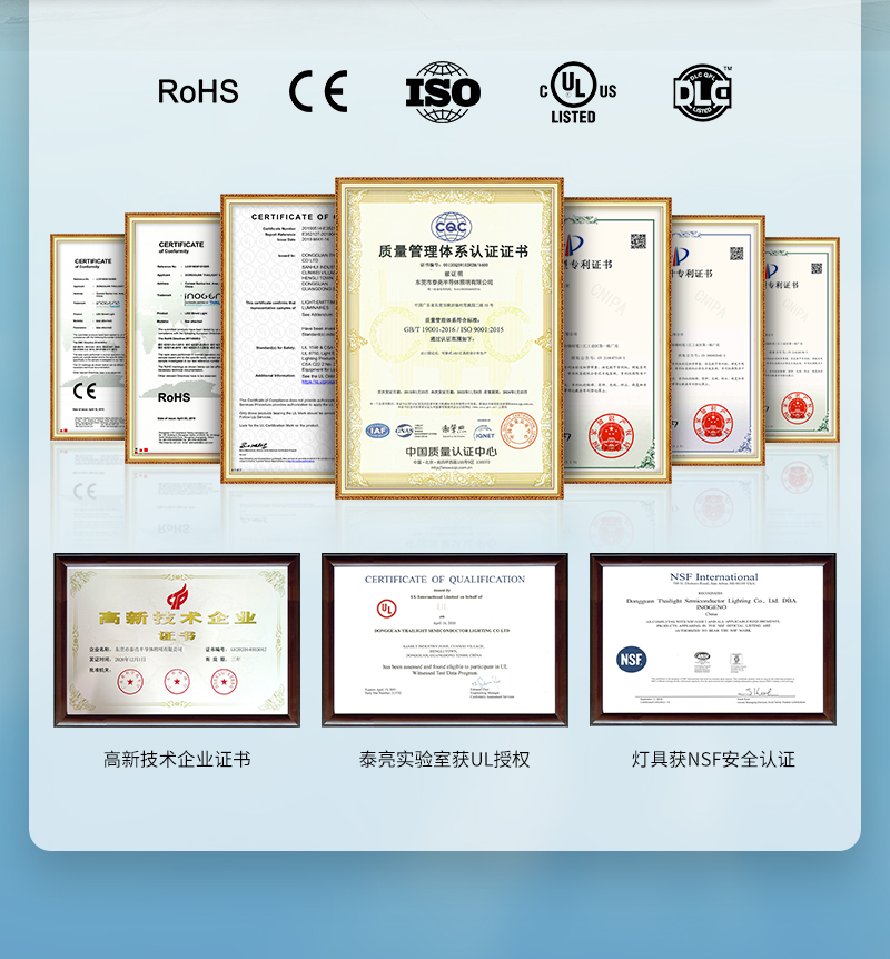 文件上传成功！