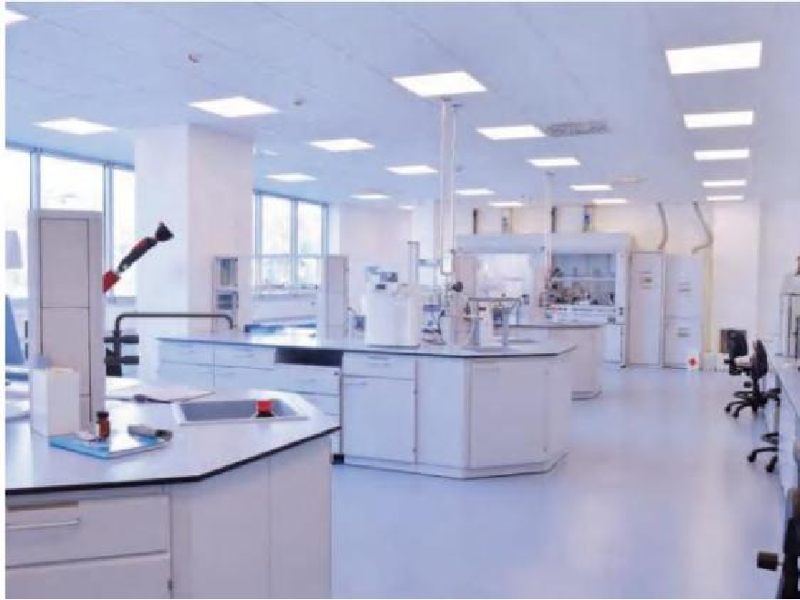 文件上传成功！