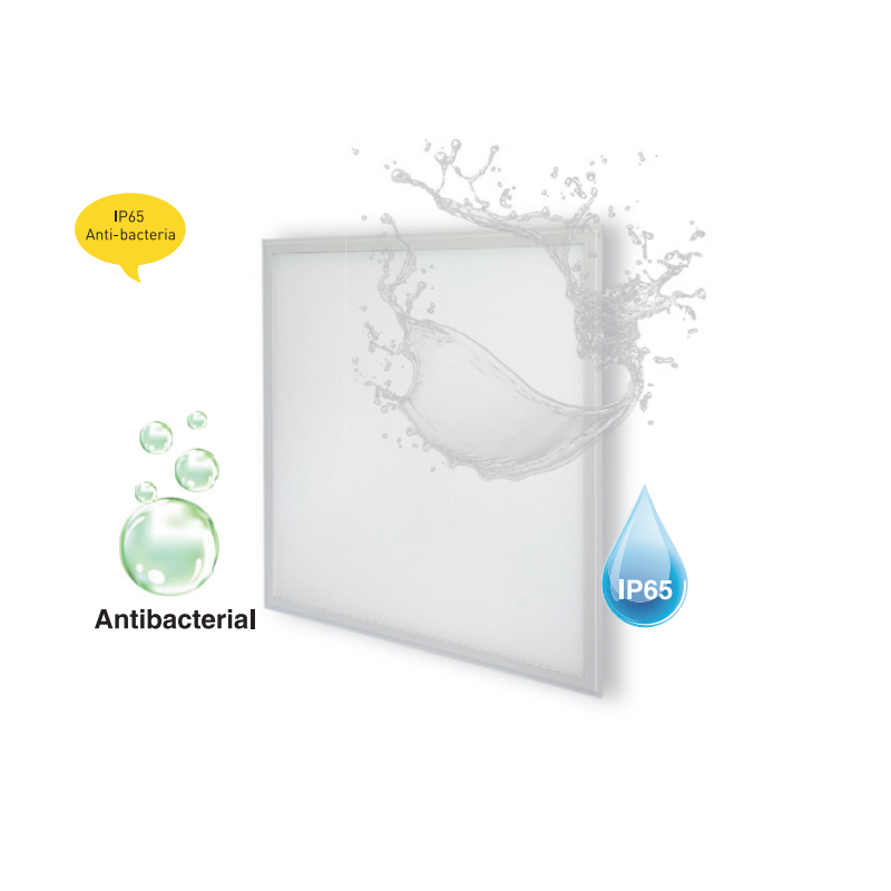 文件上传成功！