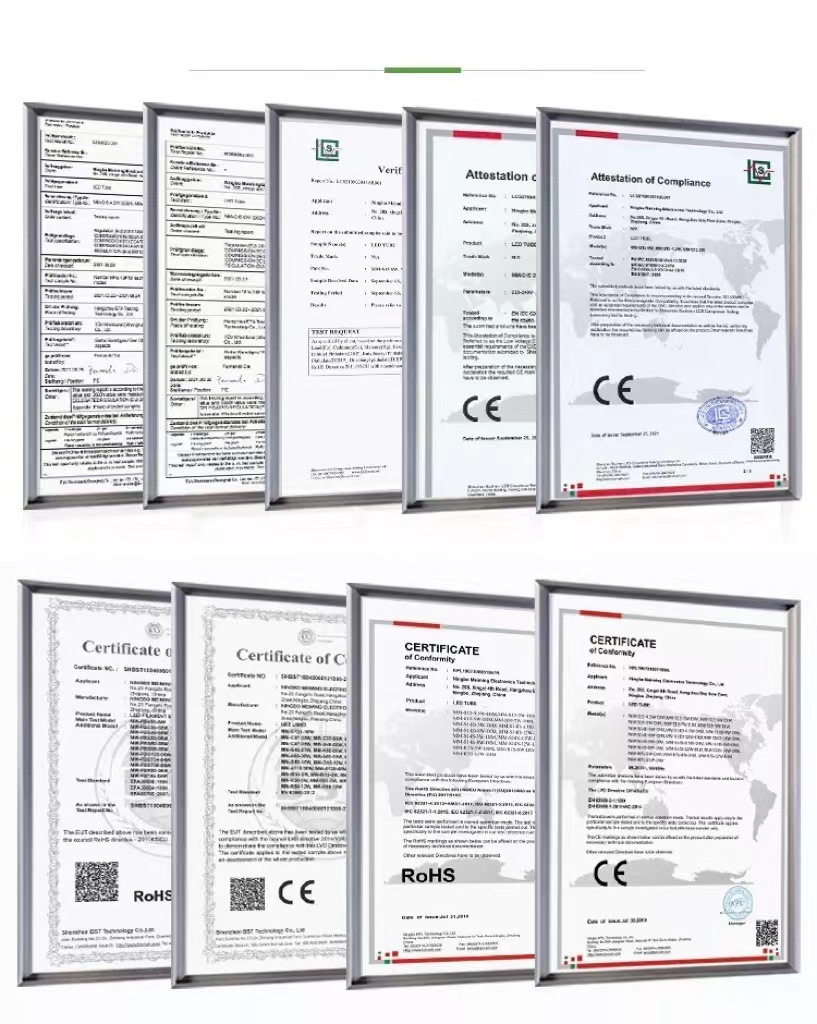 文件上传成功！