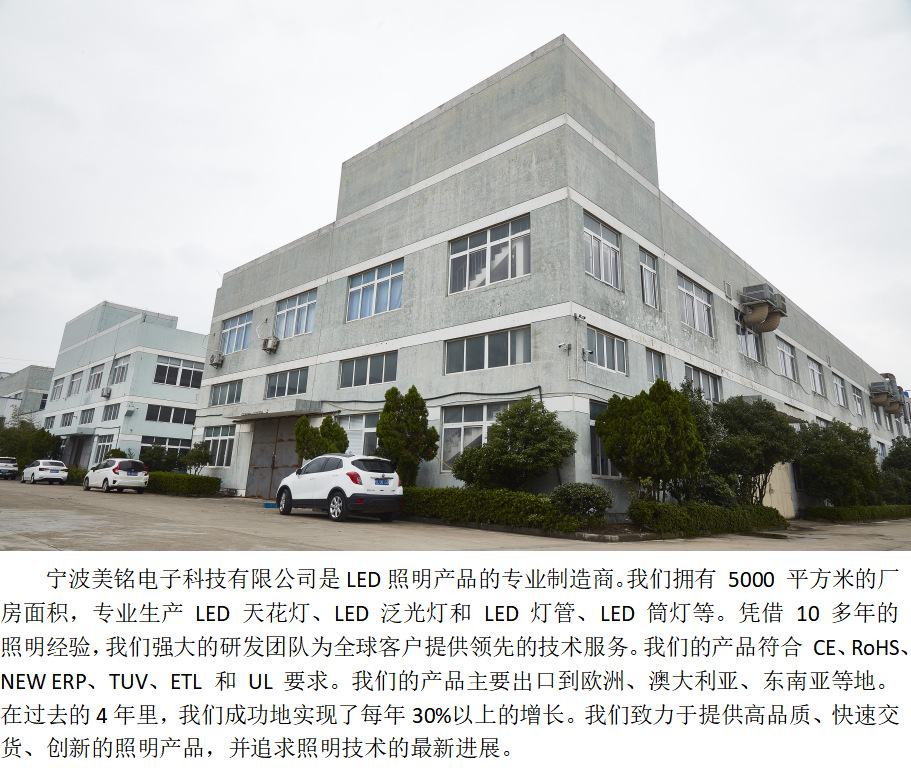 文件上传成功！