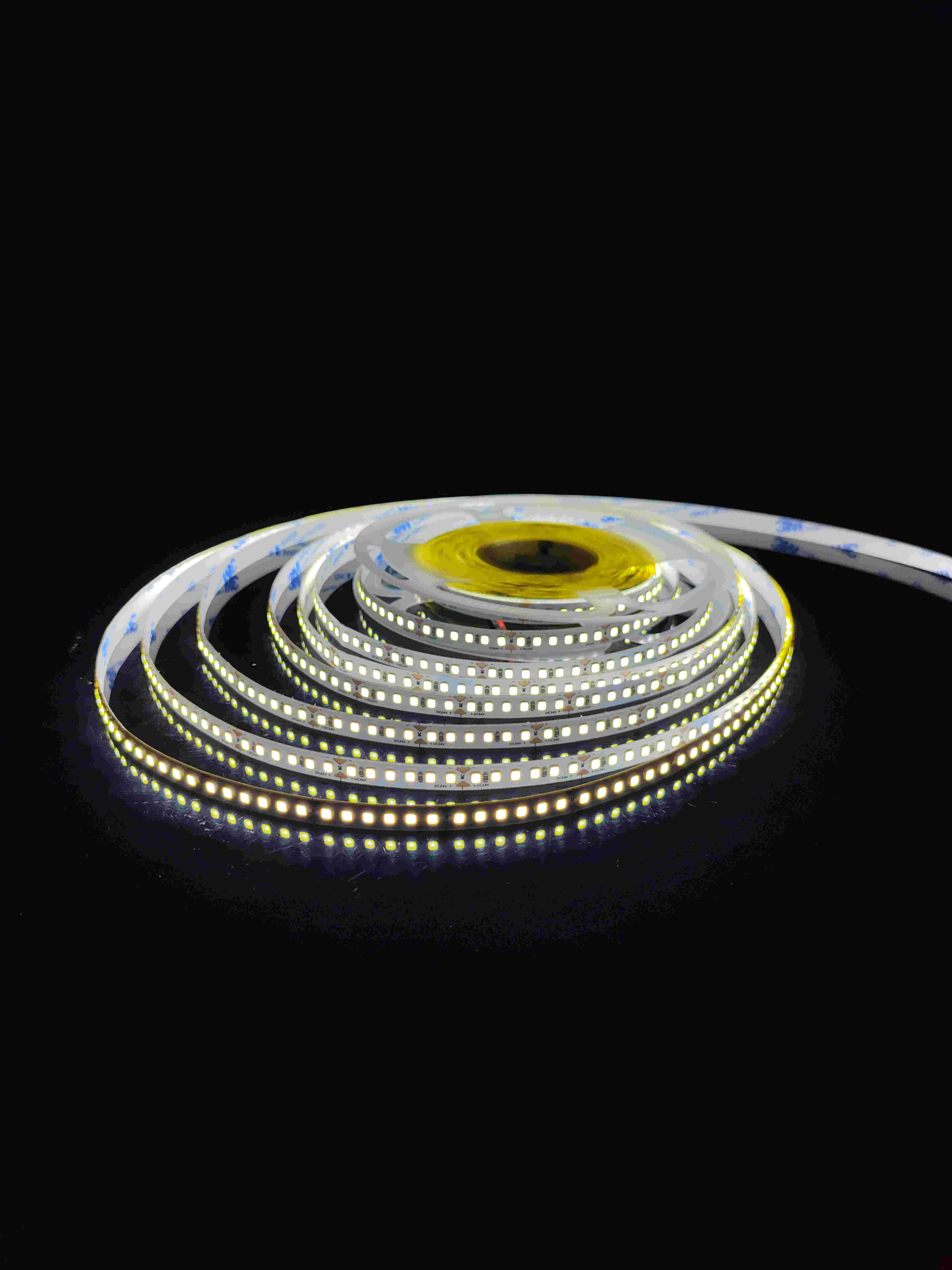 文件上传成功！