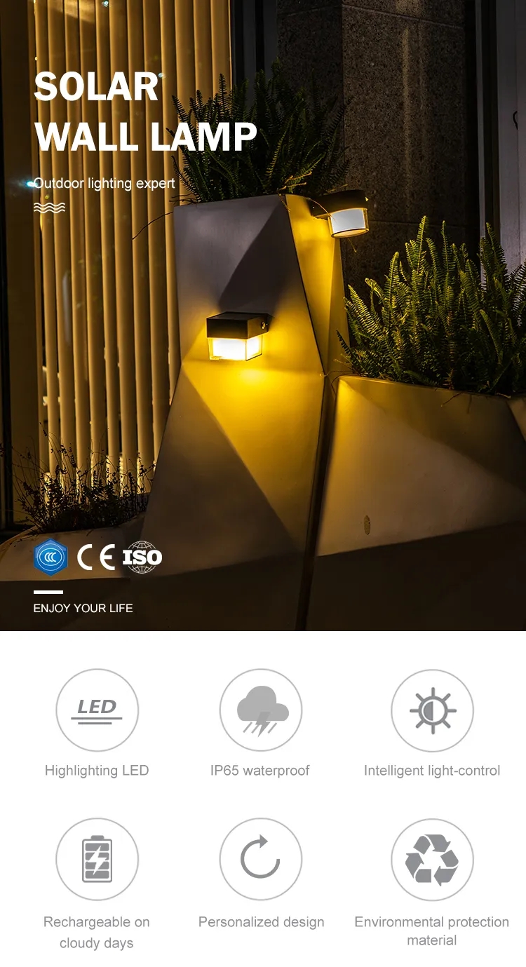 文件上传成功！