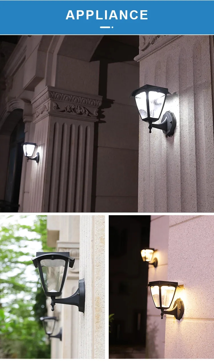 文件上传成功！