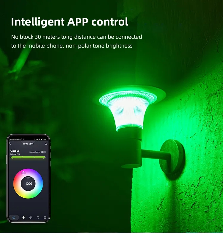 文件上传成功！