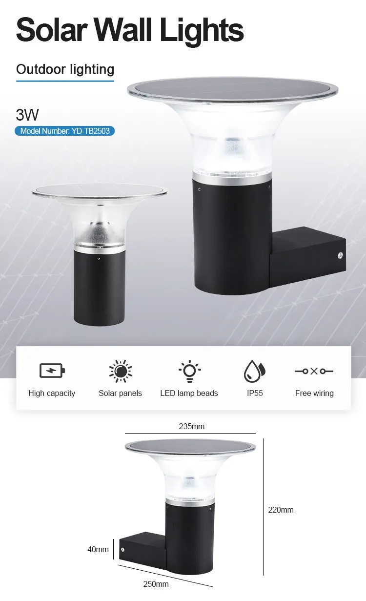 文件上传成功！