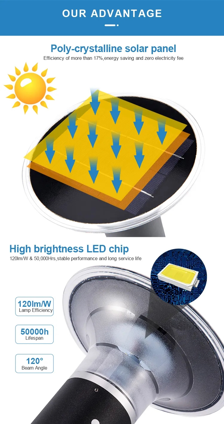 文件上传成功！