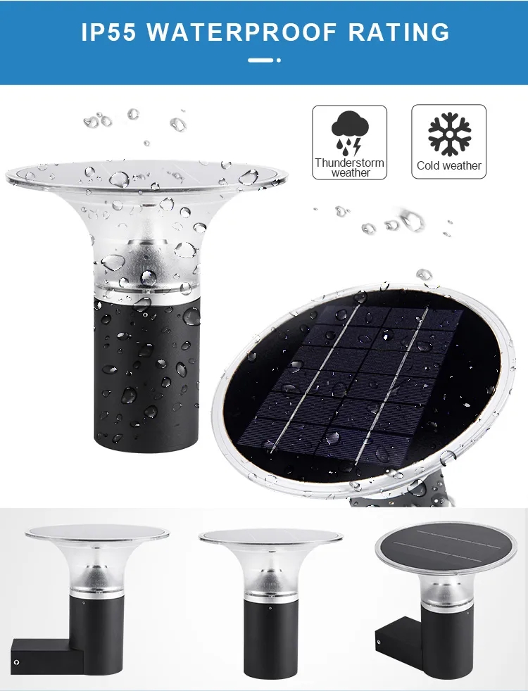 文件上传成功！