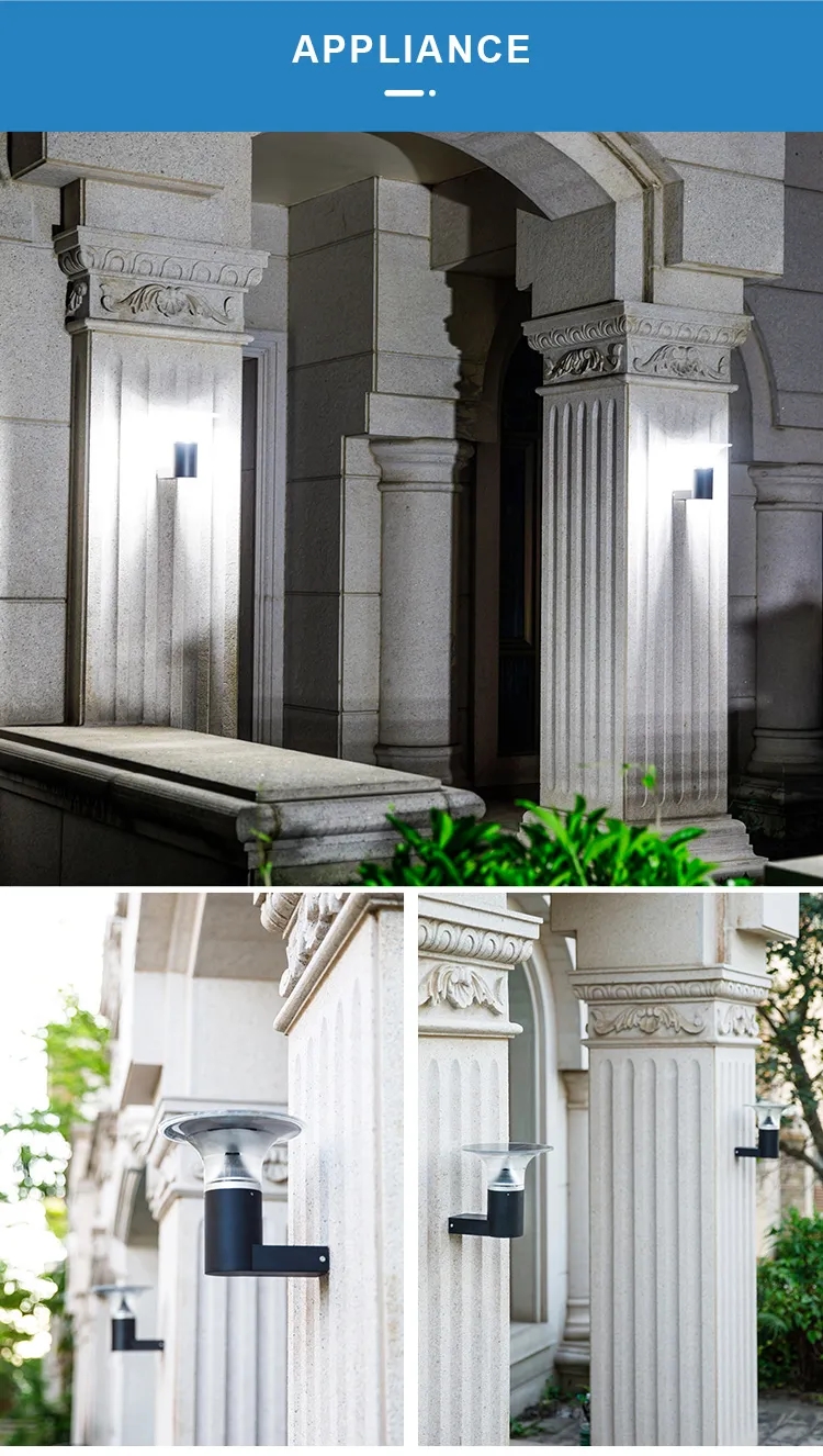 文件上传成功！