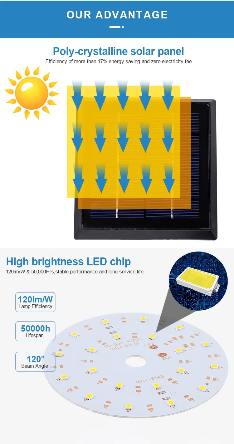 文件上传成功！