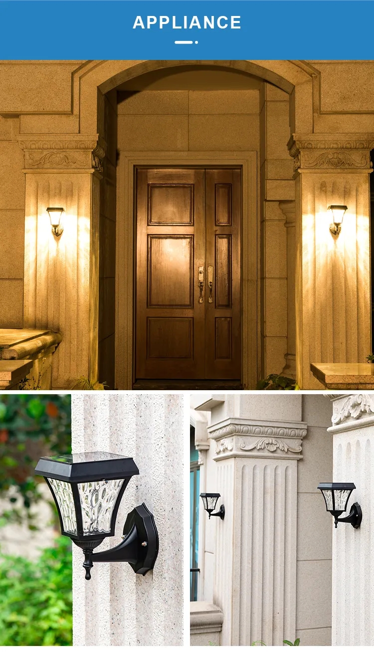 文件上传成功！