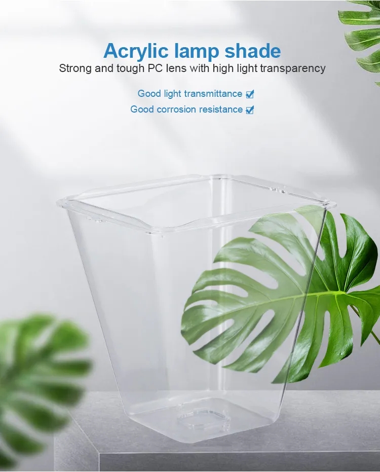 文件上传成功！