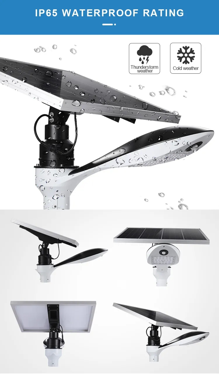 文件上传成功！