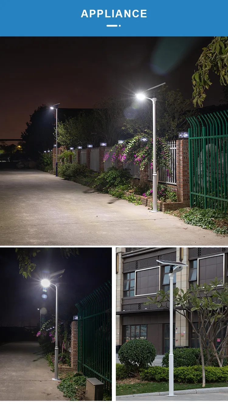 文件上传成功！