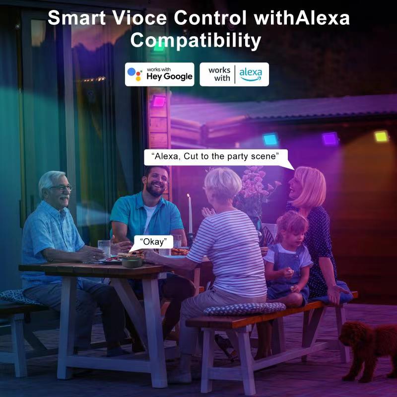 文件上传成功！