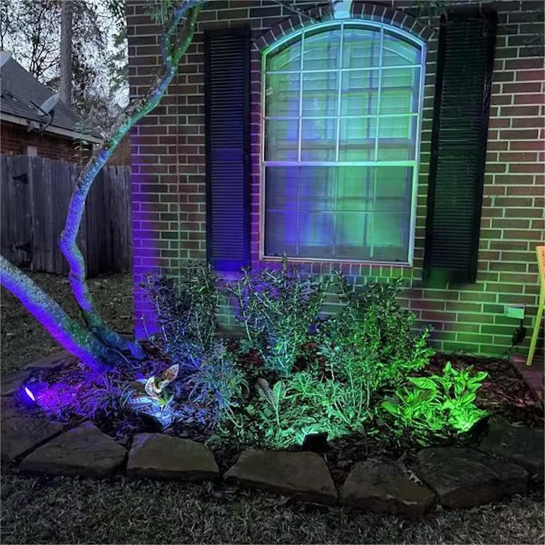 文件上传成功！