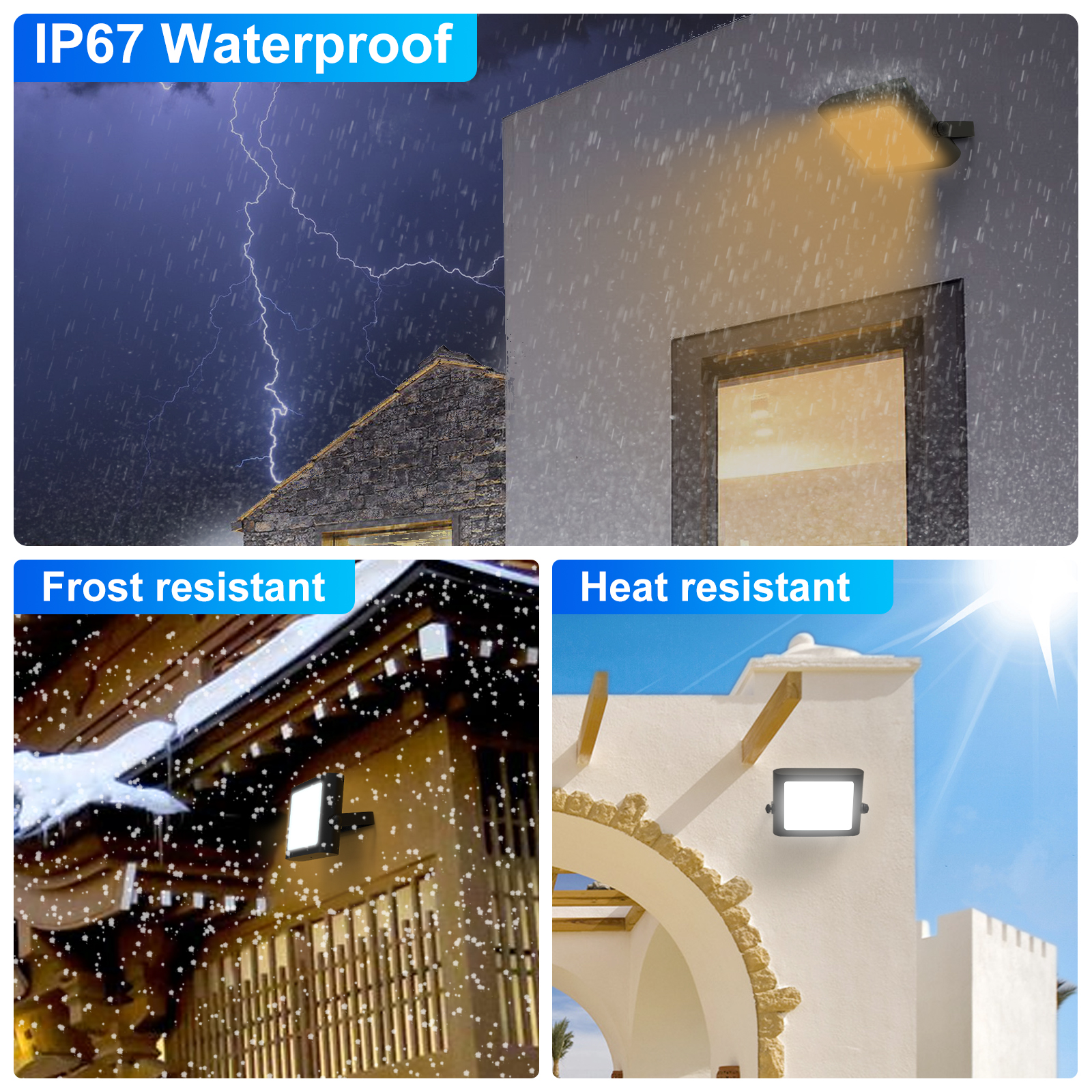 文件上传成功！