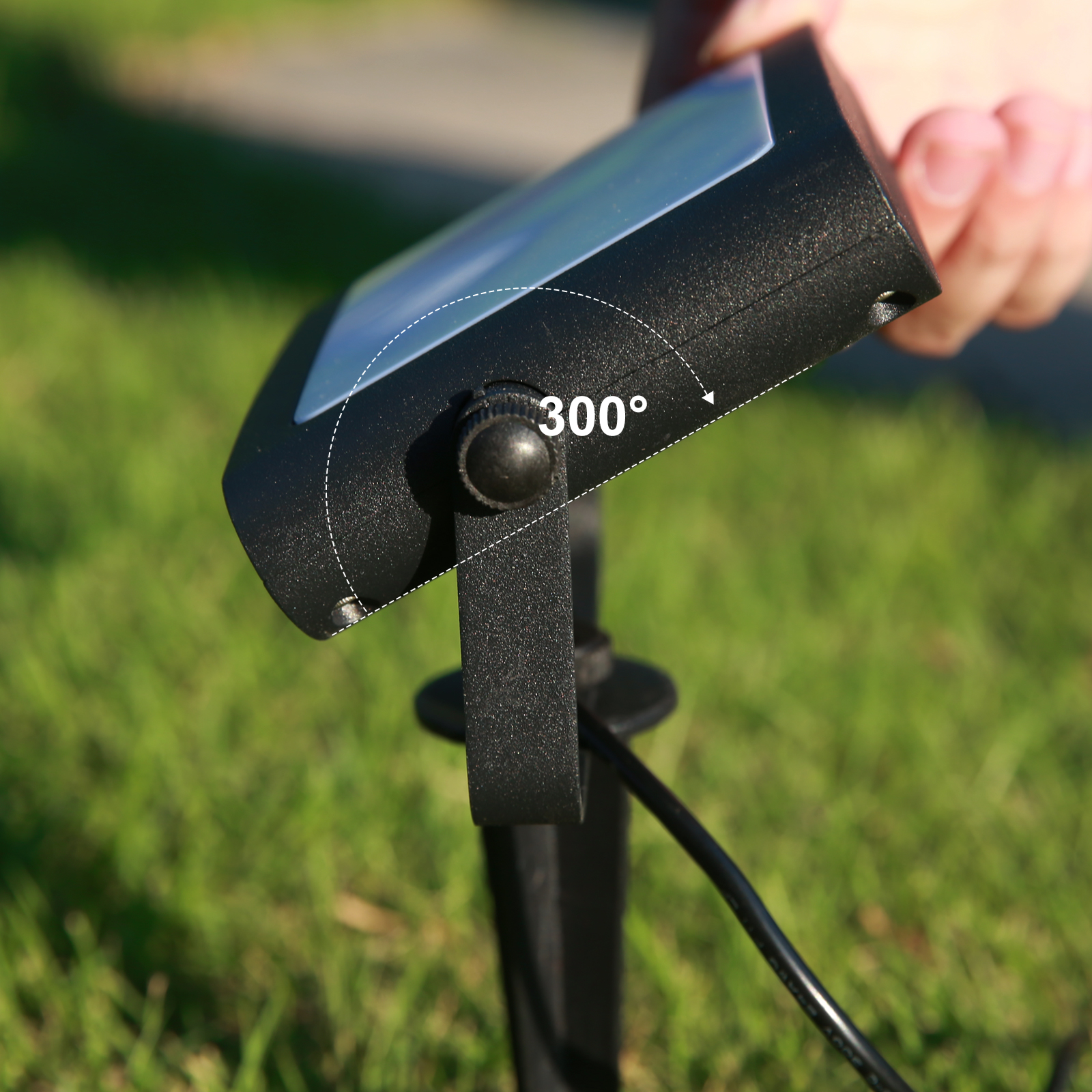 文件上传成功！