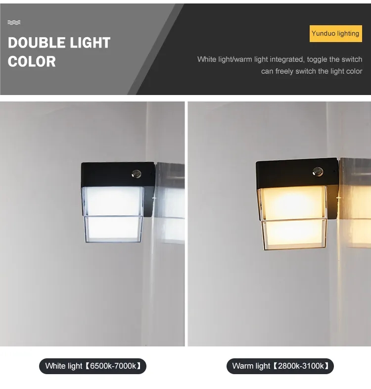 文件上传成功！