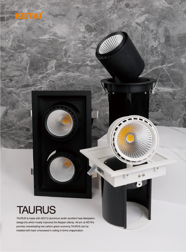 文件上传成功！