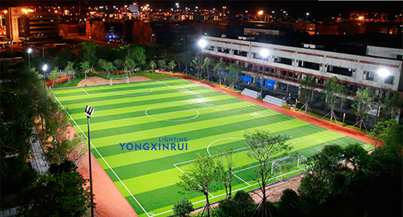 文件上传成功！