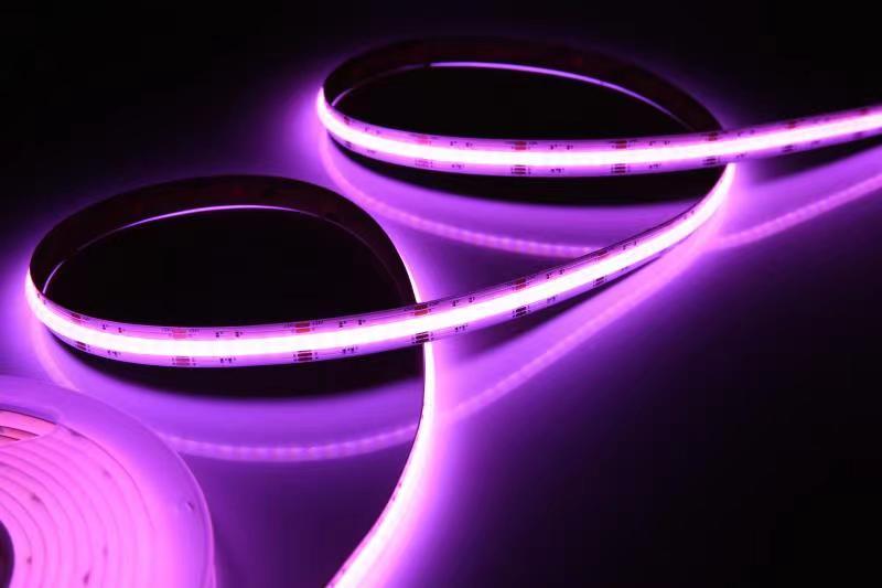 文件上传成功！