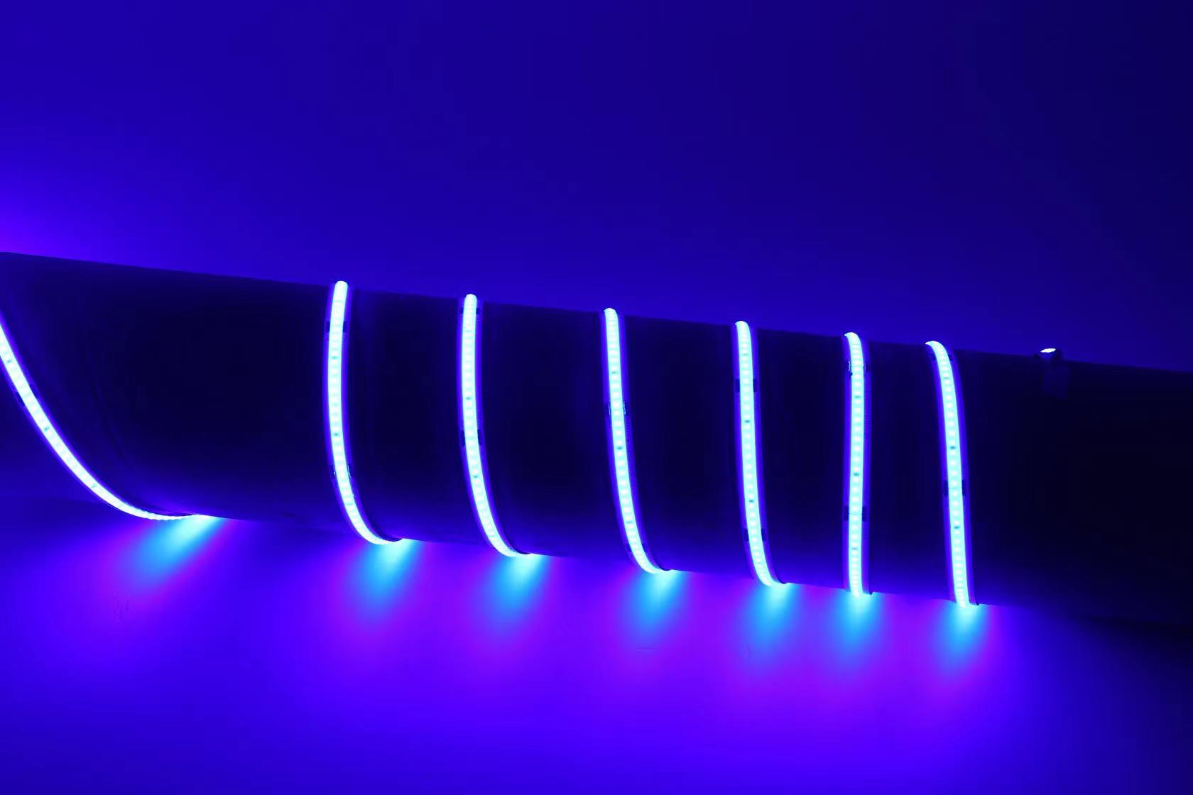 文件上传成功！