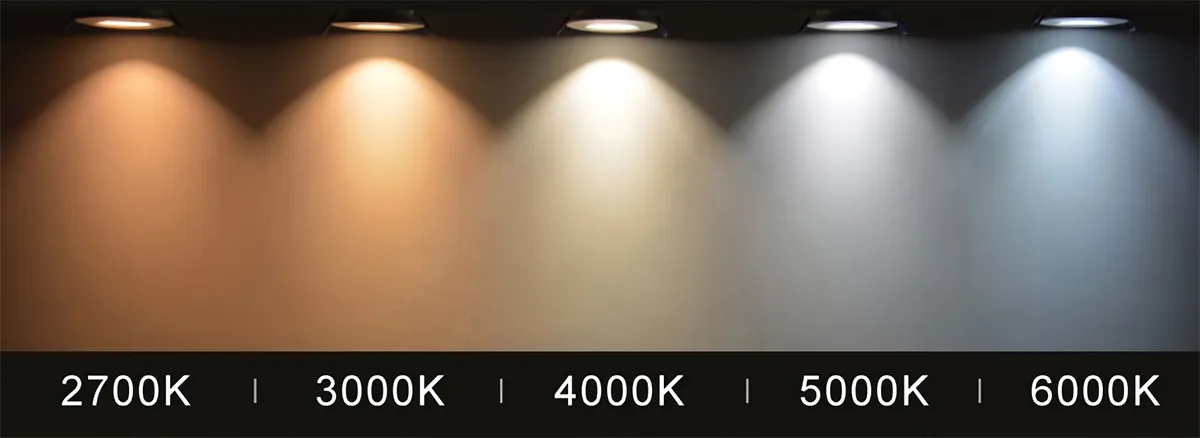 文件上传成功! 文件上传成功!