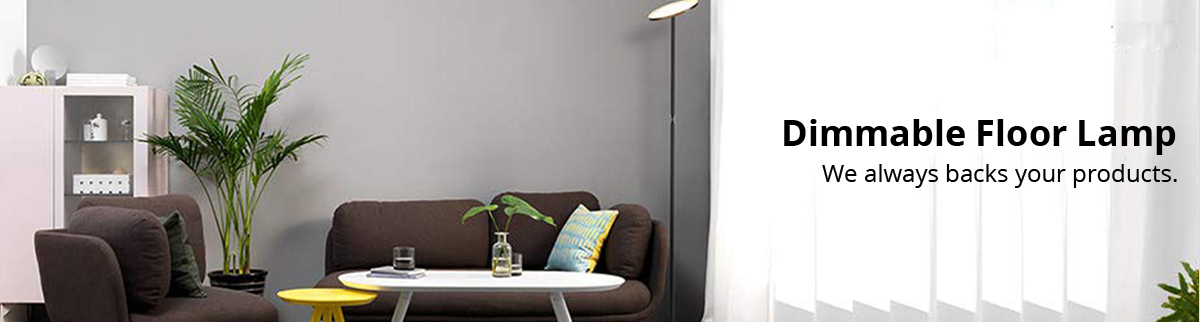 文件上传成功！