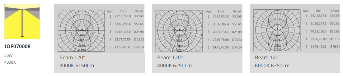 文件上传成功！