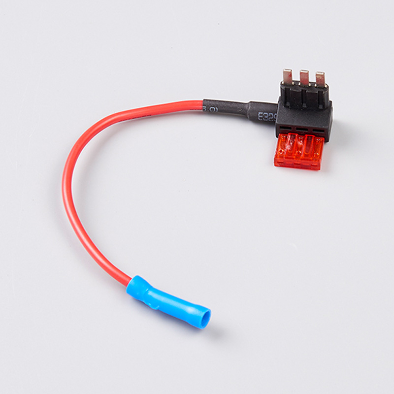 文件上传成功！