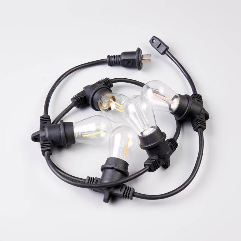 文件上传成功！