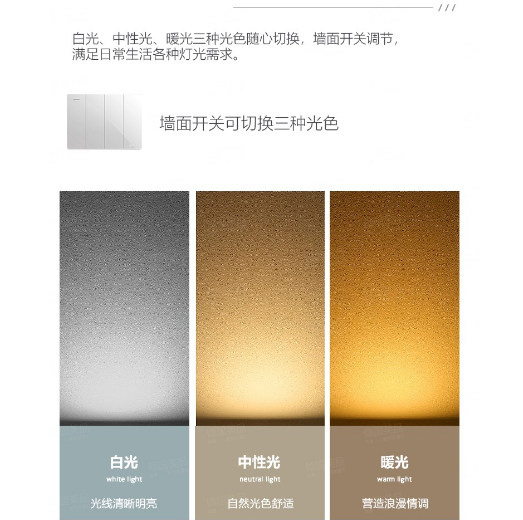 文件上传成功！