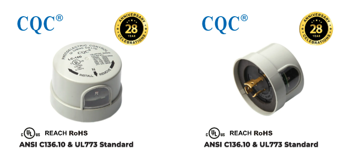 文件上传成功！