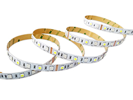 文件上传成功！